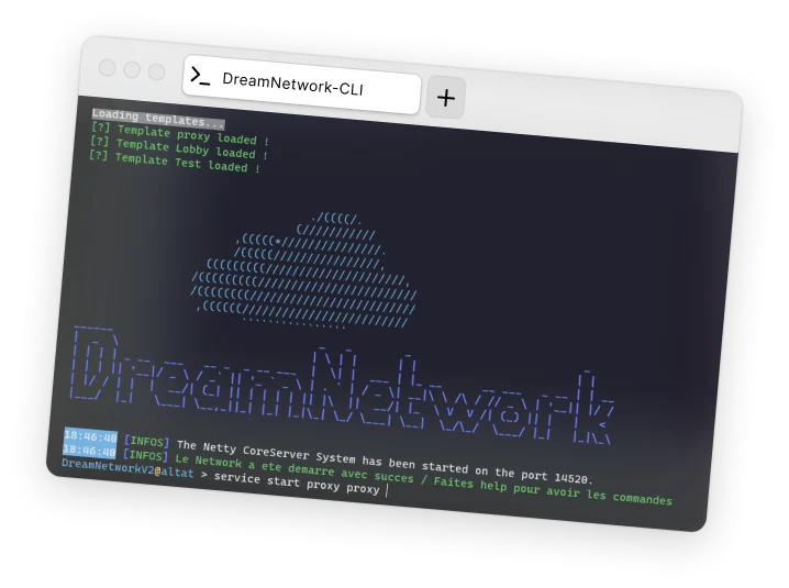 Terminal picture with the DreamNetwork console. 